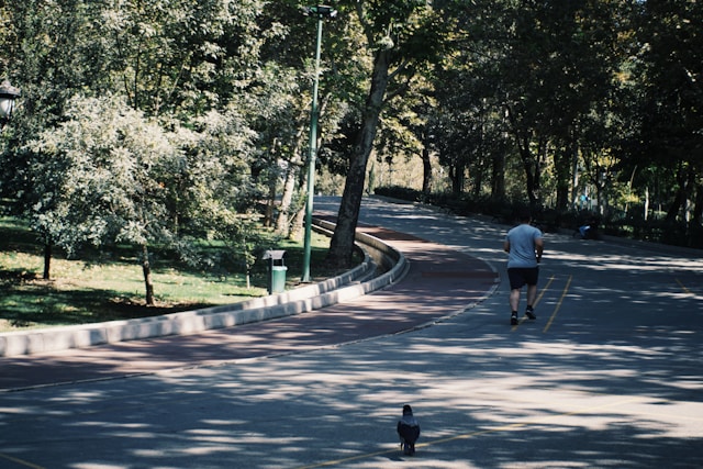 Bertrivonia inspiráció